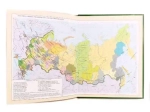 Дневник школьный 1-11 класс 40 листов в твёрдом переплёте Limpopo Тигр LPR0276