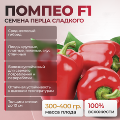 ПОМПЕО F1 семена перца сладкого (Nunhems | Alexagro)