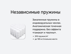 Матрас Mr. Mattress Cactus XL, независимые пружины