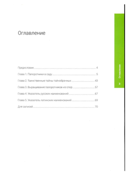 Папоротники в саду