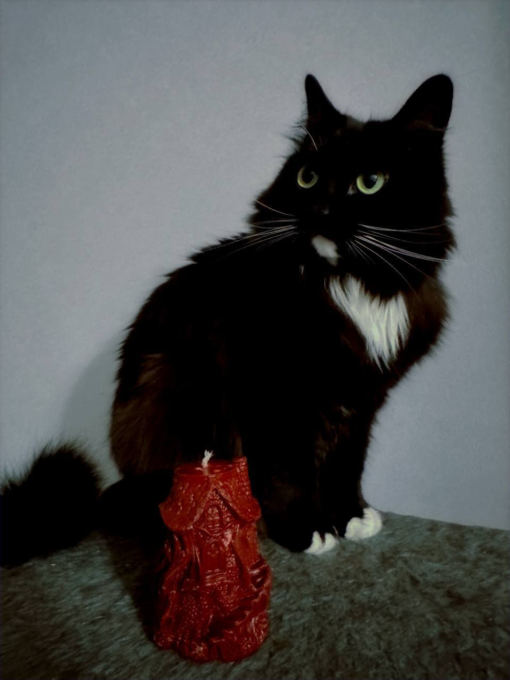 ДОМИК — 50° Luna свечи для waxplay