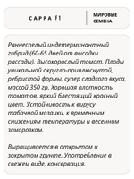 Семена томатов Сарра F1, 5 семян (Vita Green / Вита Грин)