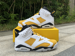 Air Jordan 6 CT8529-170