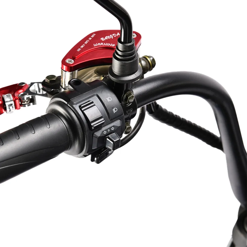 Электроскутер CityCoco WHITE SIBERIA BLACK SEA (SILVER) 5000W