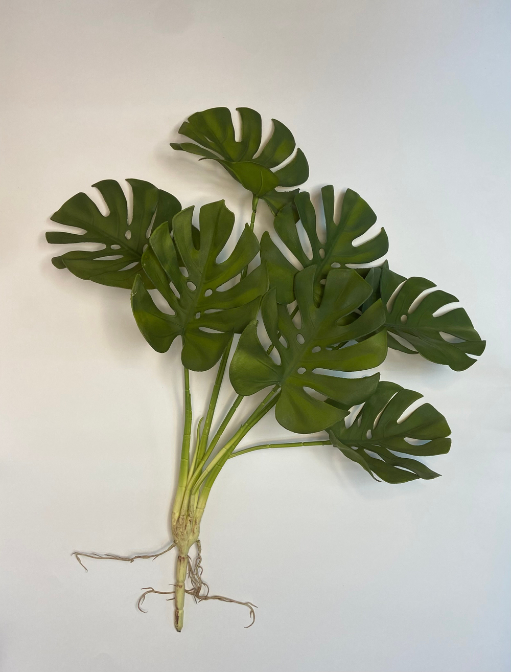 Куст монстера силикон