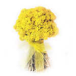 Букет сухоцвет  из натурального Бессмертника, 20х20 см