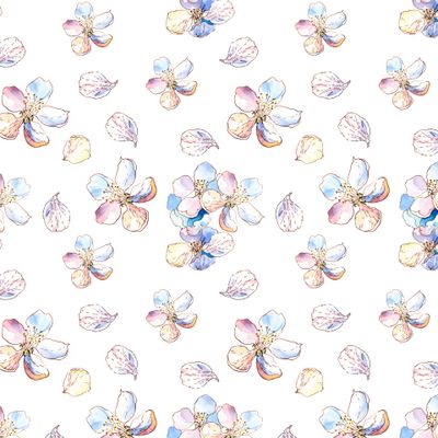 Нежные весенние Цветы яблони. Белый