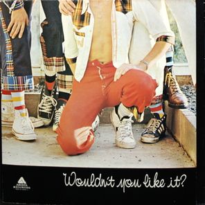 Bay City Rollers / Wouldn't You Like It? (LP)