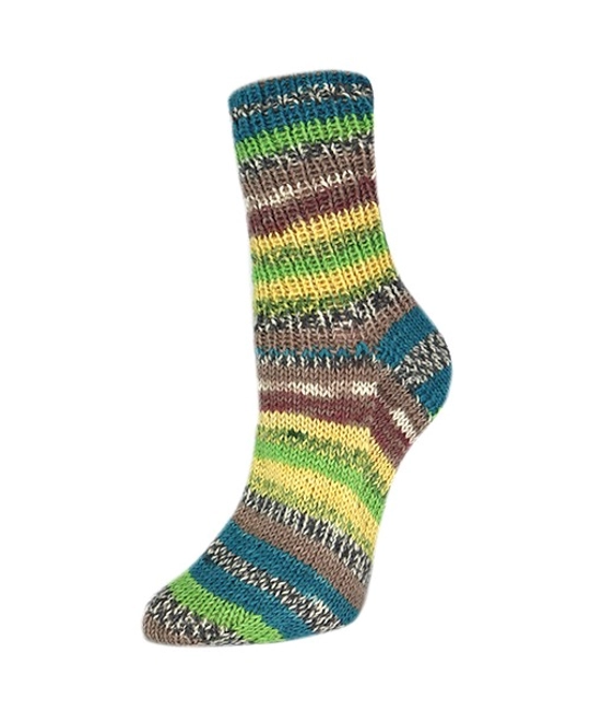 Пряжа Rellana Flotte Socke 4f. Roma (3225)