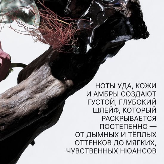 Парфюмированное масло для бороды Barbaro Oud de France, 30 мл.