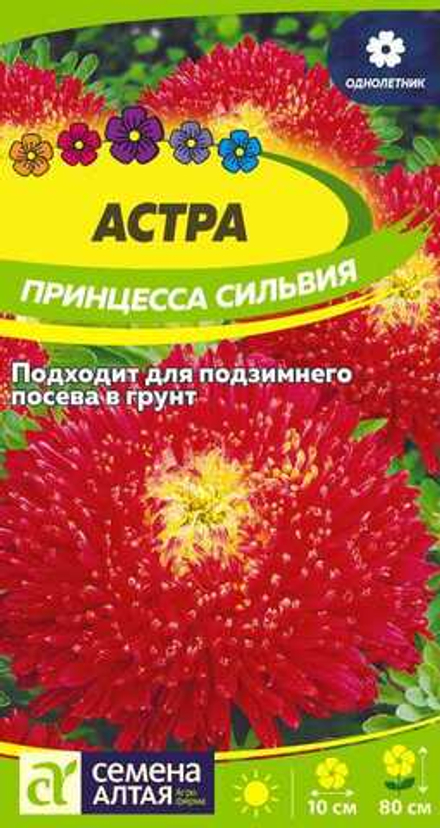 Астра Принцесса Сильвия карминно-красная 0,2 гр (Семена Алтая)