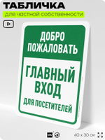 Табличка для частной территории "Добро пожаловать, главный вход", на дом, для участка, организаций и частных территорий, предупреждающая, 40х30 см, Silver Plane x Айдентика Технолоджи