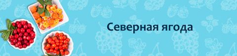 Северная ягода