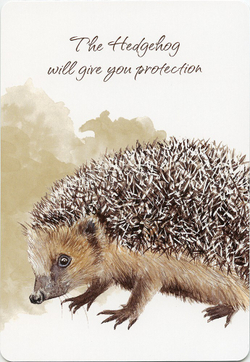 Power Animals. Spirit Guides for Your Spiritual Life / Оракул Сила Животных. Тотемы для вашей духовной жизни