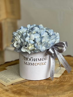Композиция из нежно - голубой гортензии в шляпной коробке «Любимой Мамочке»