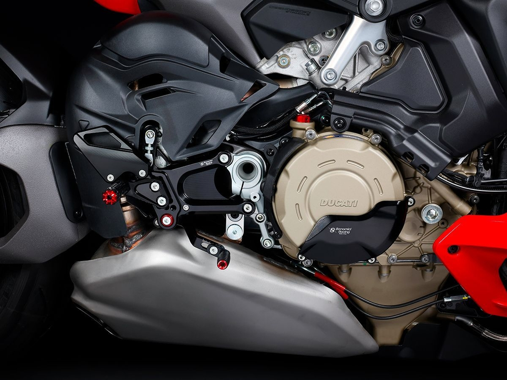 D002 BONAMICI ADJUSTABLE REARSETS (SF V4 2025)