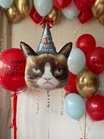 Воздушные шары Унылый кот для него №8508