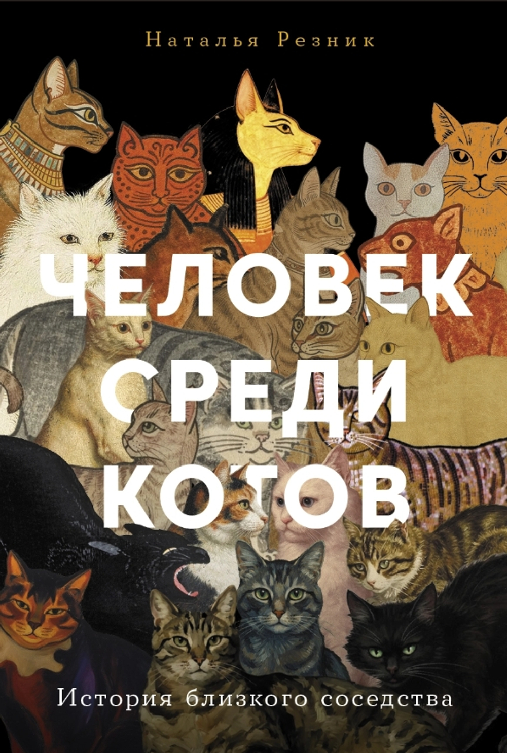 Человек среди котов: История близкого соседства