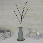 Украшение для дома ВЕТОЧКА 70 см, 20 ламп LED, IP-20 (работает от 2х батареек АА), Теплый белый