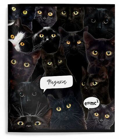 Тетрадь предметная А5 48л. клетка "Кошачий мир" Физика мел. карт. ВД-лак (Schoolformat)