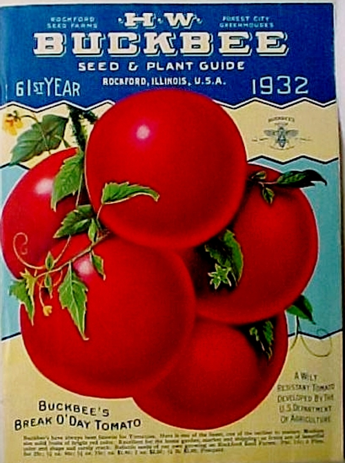 Помидоры Рассвет (Брикодей) - Break O' Day Tomato