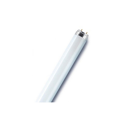 Лампа люминесцентная Osram Basic 18Вт 4000К G13 нейтральный белый свет