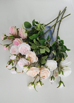 Роза пионовидная / Арт 2361