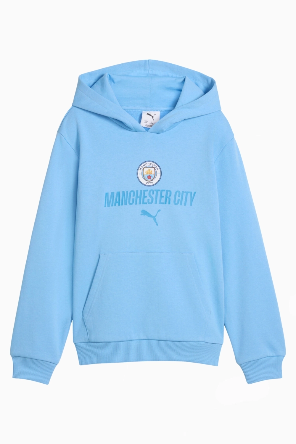 Кофта Puma Manchester City 26/27 ftblCulture Junior - синий