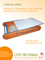 Стол песочный  "Ученый кот Макси"