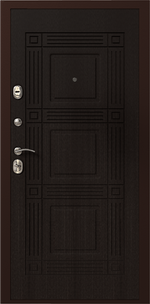 Дверь входная Леда