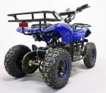 Электроквадроцикл Green Camel Гоби K31 (36V 800W R6 Цепь) ножной тормоз