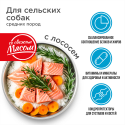 Корм сухой для взрослых собак средних пород, премиум полнорационный комплекс, для живущих в сельской местности, с лососем, 12 кг, QUATTRO