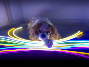 Гибкий неон