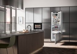 Встраиваемый холодильник Liebherr ICBdi 5182