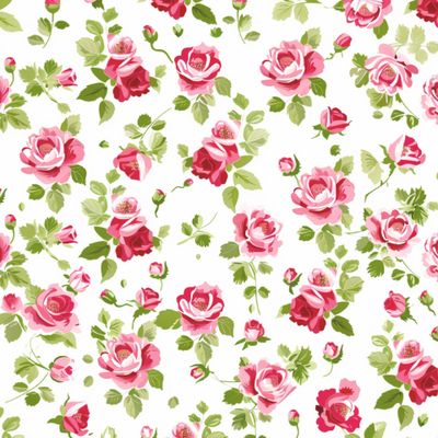 Розы на белом фоне