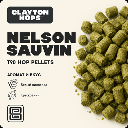 NELSON SAUVIN