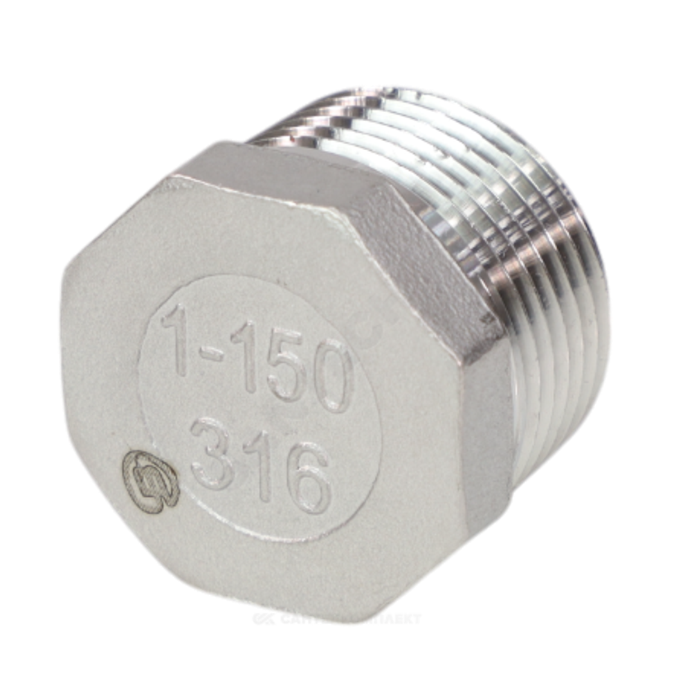 Заглушка сталь нерж Ду 25 (1") НР Benarmo