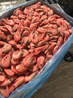 Креветка северная 200+ Мурманск