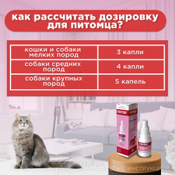 Ушные капли для профилактики и лечения наружных и средних отитов бактериальной этиологии собак и кошек, а также для гигиенической обработки ушей Отоферонол (ТопВет),10мл Циклоферон