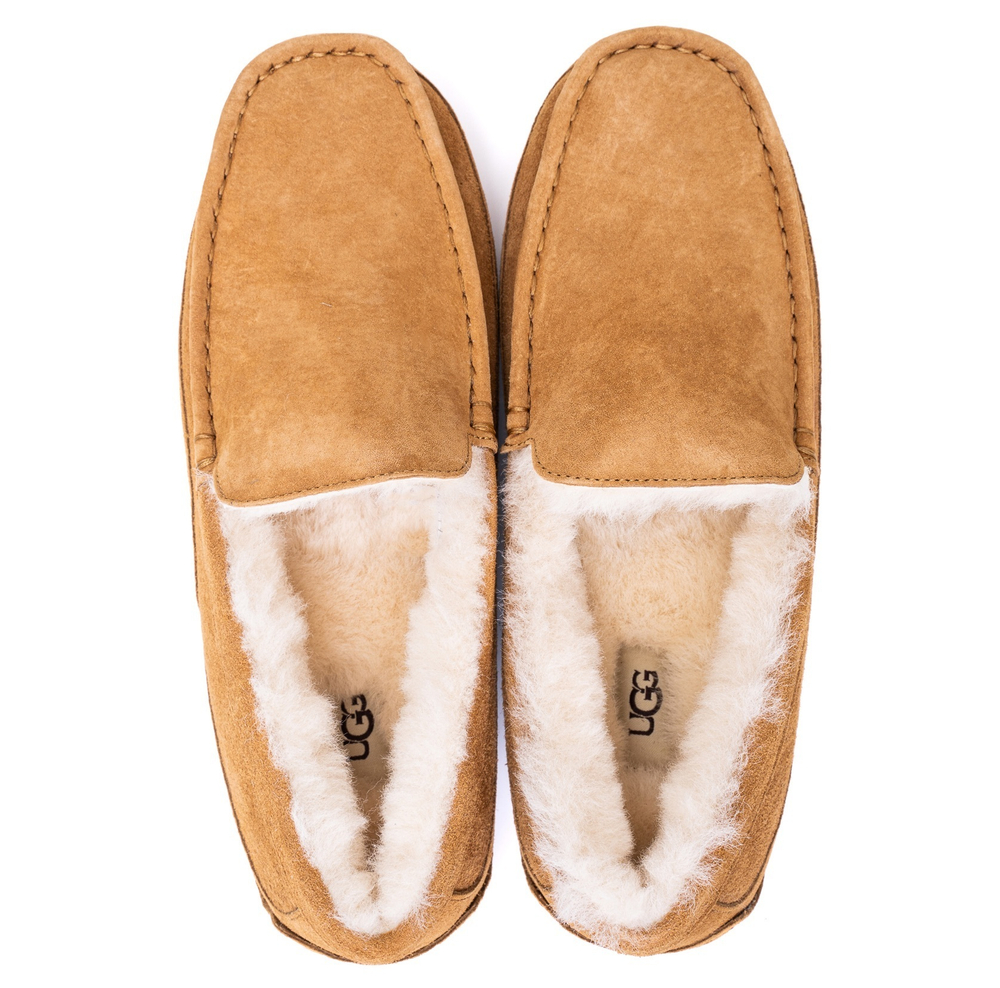 Ugg Mens Ascot Chestnut