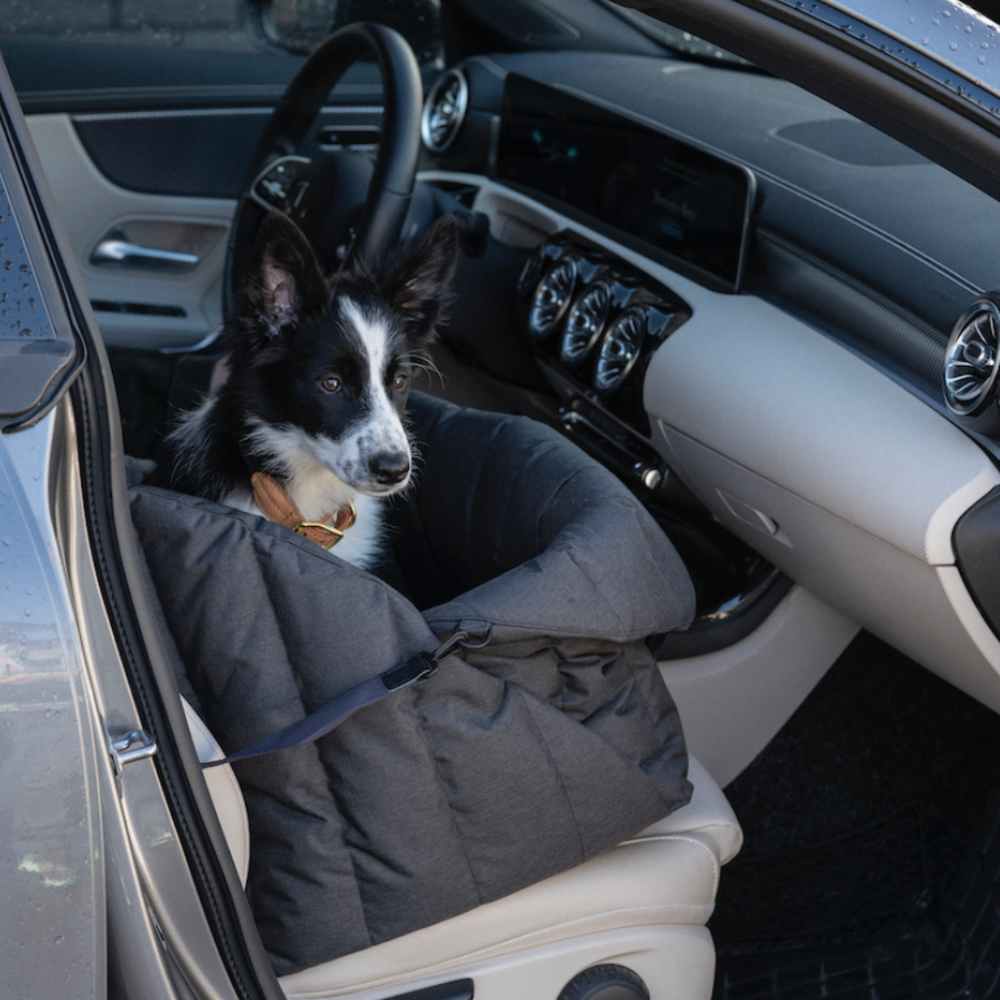 Автокресло - Пони HuntingPony