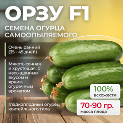 ОРЗУ F1 семена огурца (Nunhems | Alexagro)