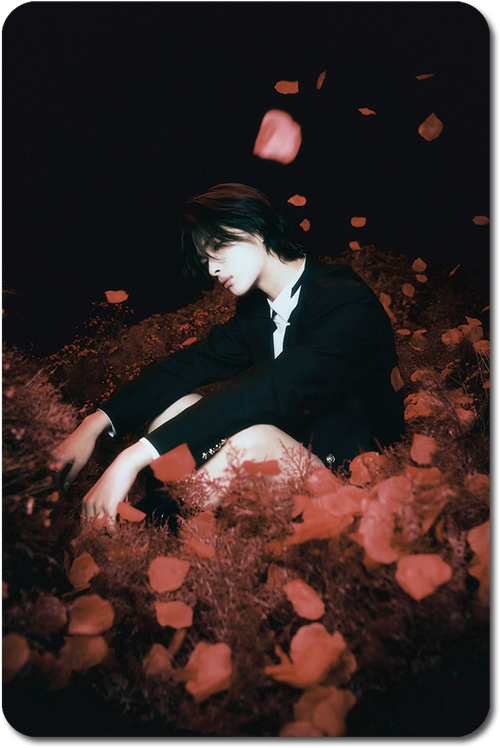 Карта / ENHYPEN #041