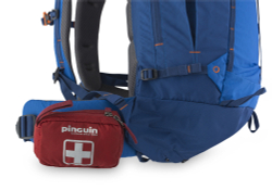 Аптечка Pinguin First Aid Kit S