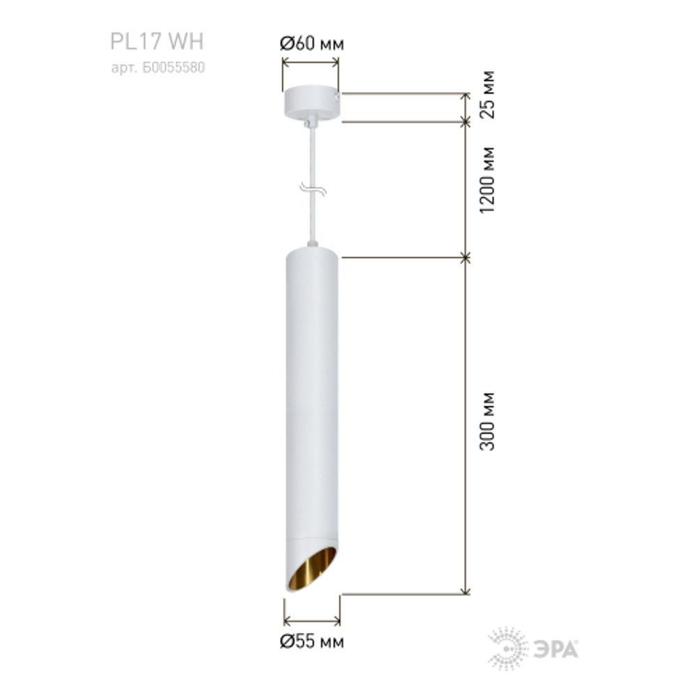 Светильник подвесной (подвес) ЭРА PL 17 WH MR16/GU10, белый, потолочный, цилиндр
