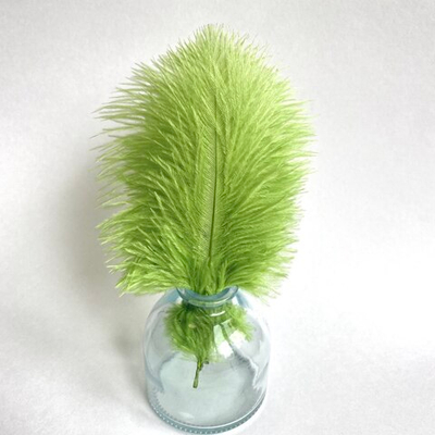 Перо страуса шартрез 15 - 20 см.