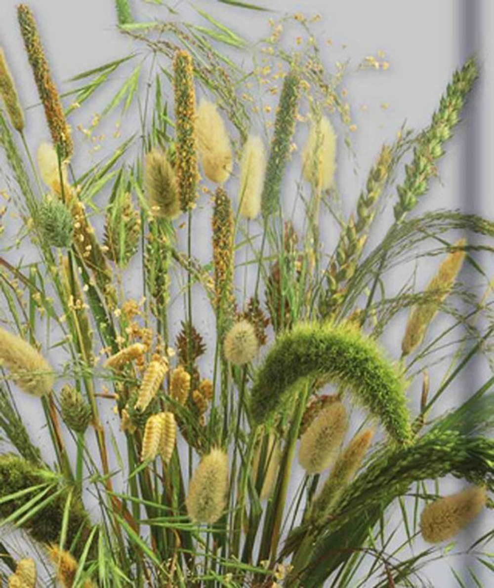 Смесь Сухоцветы Злаковые 0,3г