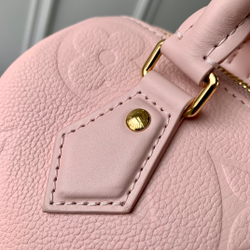 Louis Vuitton Speedy 20