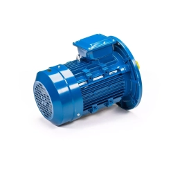 Электродвигатель 5АИ 100 L4 4/1500 IM3081