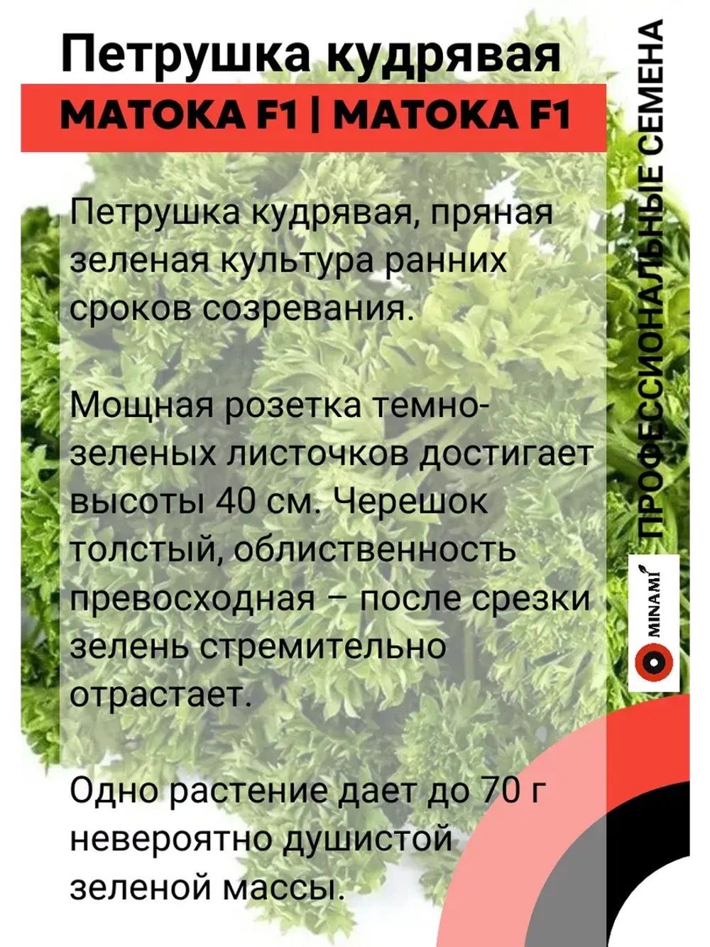 Петрушка Матока F1